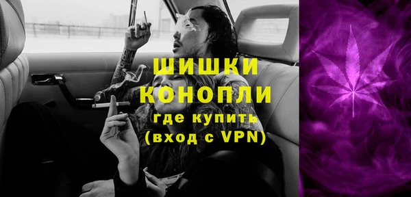 молекула духа Бородино
