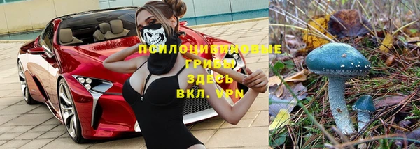 сатива Бугульма
