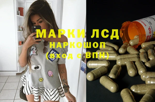 сатива Бугульма