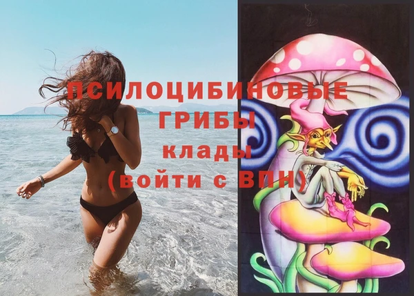 прущая мука Богородск
