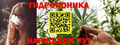 прущие грибы Гусь-Хрустальный