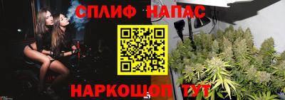прущие грибы Гусь-Хрустальный