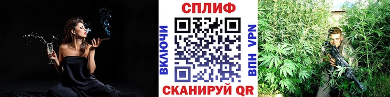 Бошки марихуана VHQ  купить наркотики цена  Дербент 
